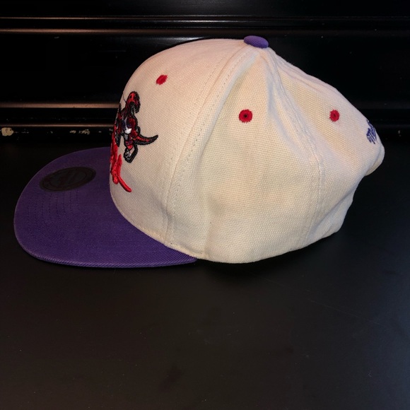 Toronto Raptors Hat - Picture 4 of 9
